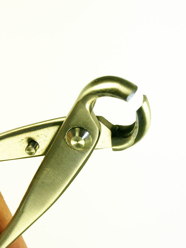 Pince à nœuds pour bonsaï en acier inoxydable 180 mm