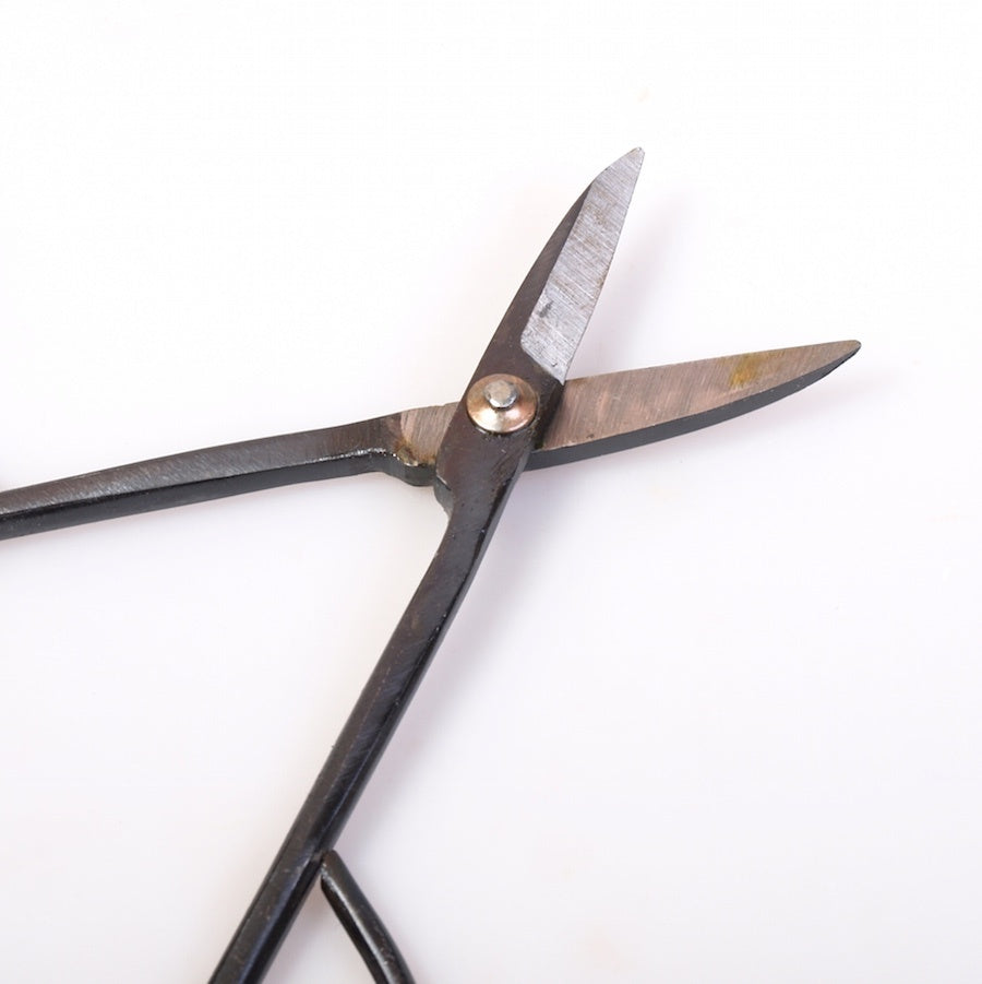 Ciseaux pour bonsaï fin, qualité basique, 185 mm