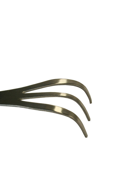 Pince à bonsaï et râteau