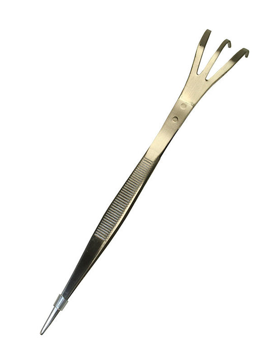 Râteau + Spatule Bonsaï Japonais Ittoryu 21,5 Cm – Acier Inox Pour Rempotage & Entretien Racines