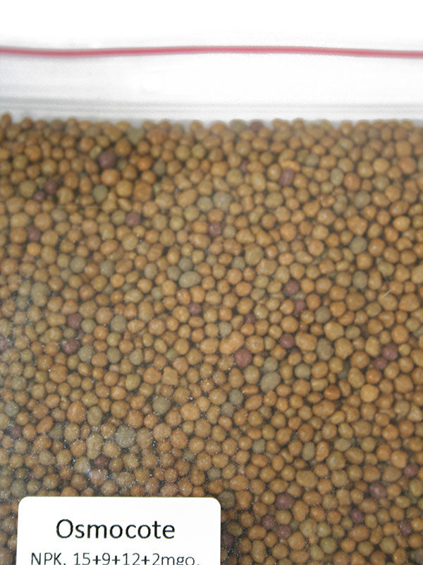 Engrais pour arbre de jardin 500 grammes