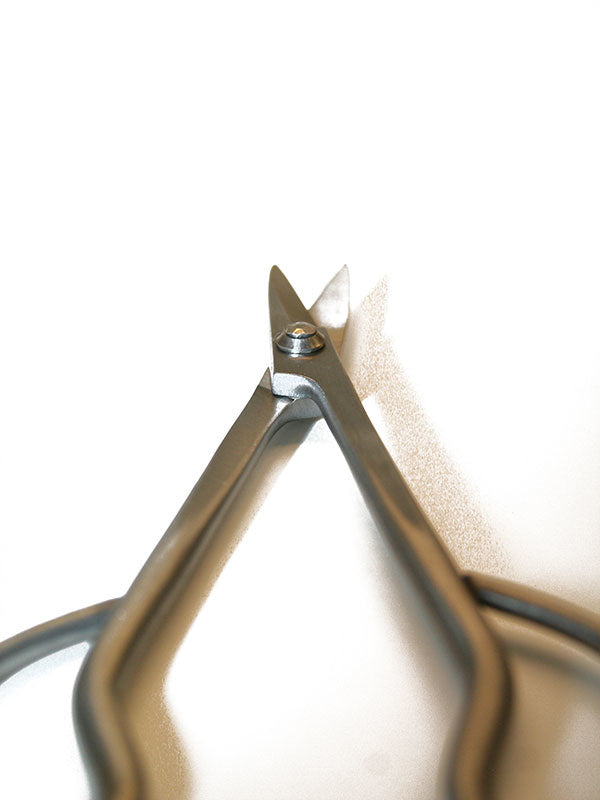 Cisaille Bonsai Ryuga en acier inoxydable 179 mm