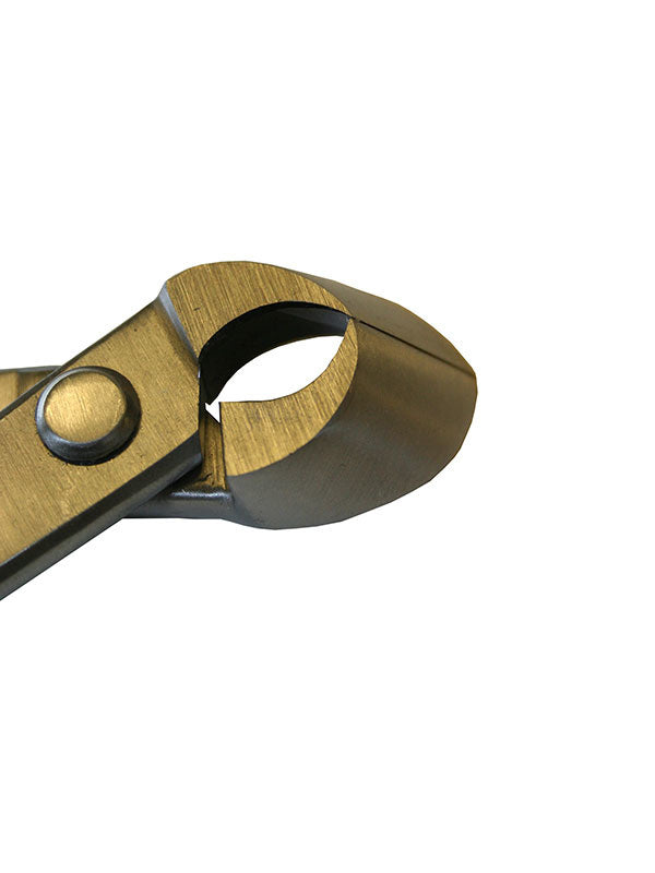 Pince concave Ryuga pour bonsaï en acier inoxydable 203 mm