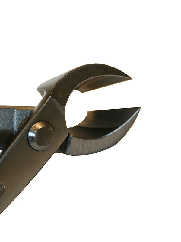 Pince concave Ryuga pour bonsaï en acier inoxydable 170 mm