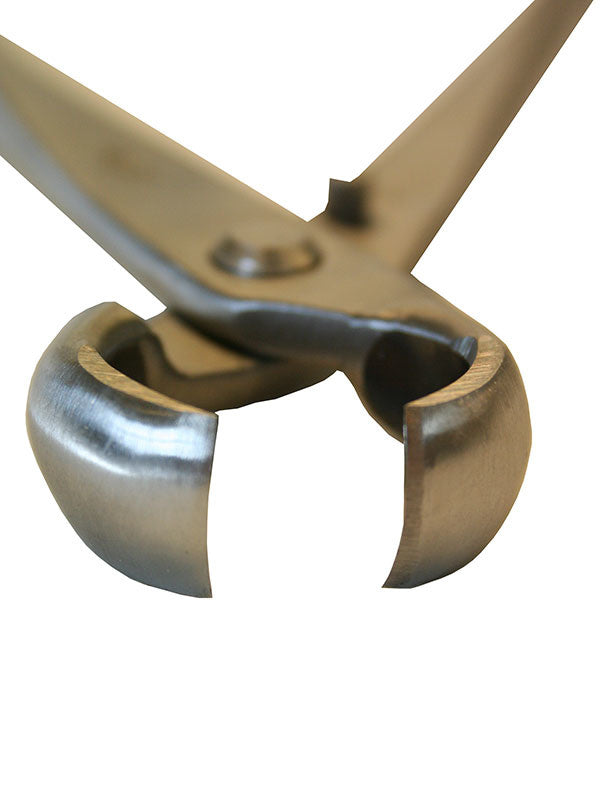 Pince à nœuds Bonsai Ryuga en acier inoxydable 210 mm