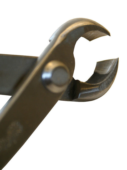 Pince à nœuds Bonsai Ryuga en acier inoxydable 179 mm