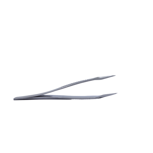 Pince à couper les bonsaïs en acier inoxydable 122 mm