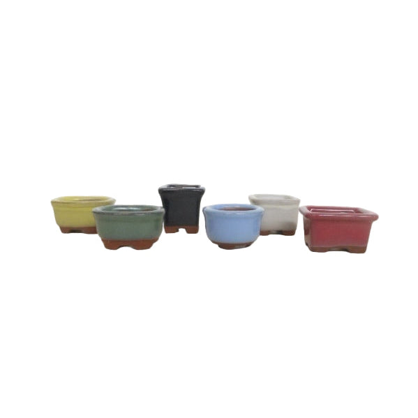 Mélange mini de mame pour pot de bonsaï (5)
