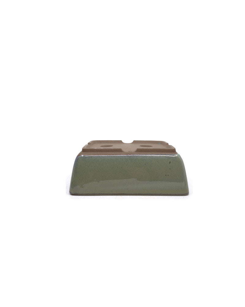 Pot à bonsaï vert beige rectangulaire 12 cm - lot