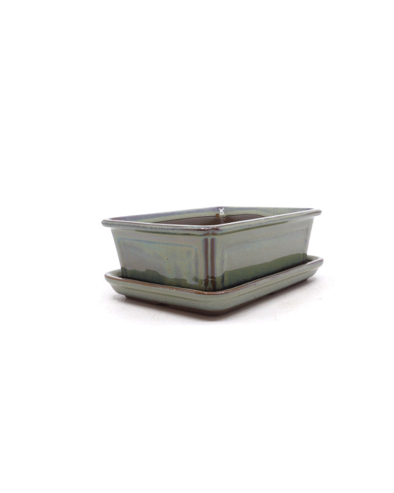 Pot à bonsaï vert beige rectangulaire 15 cm - lot