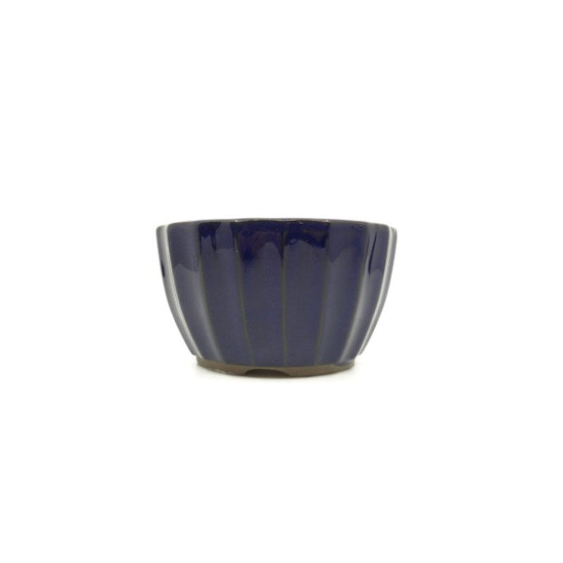 Pot à bonsaï chrysanthèmes bleu foncé 12 cm