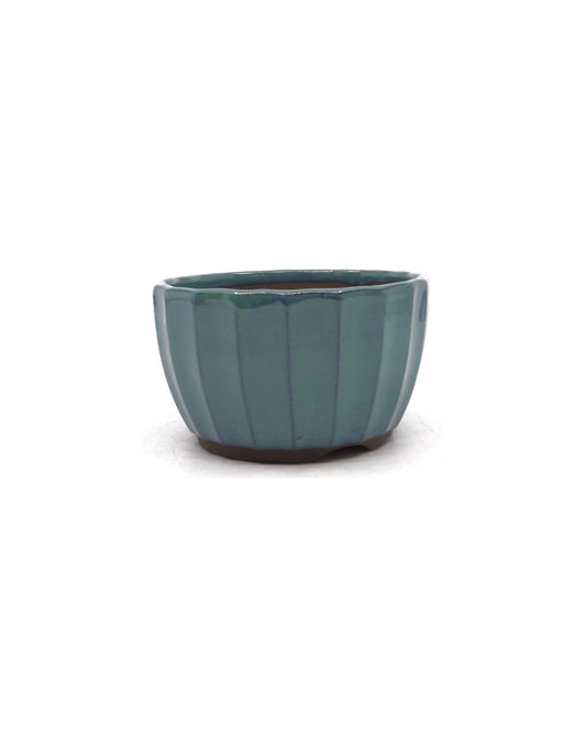 Pot à bonsaï de chrysanthèmes verts 12 cm