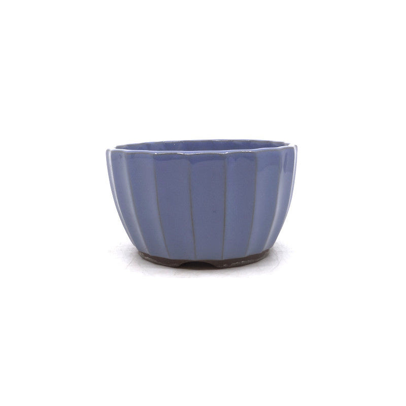 Pot à bonsaï chrysanthèmes bleu clair 12 cm