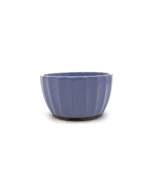 Pot à bonsaï chrysanthèmes bleu clair 12 cm