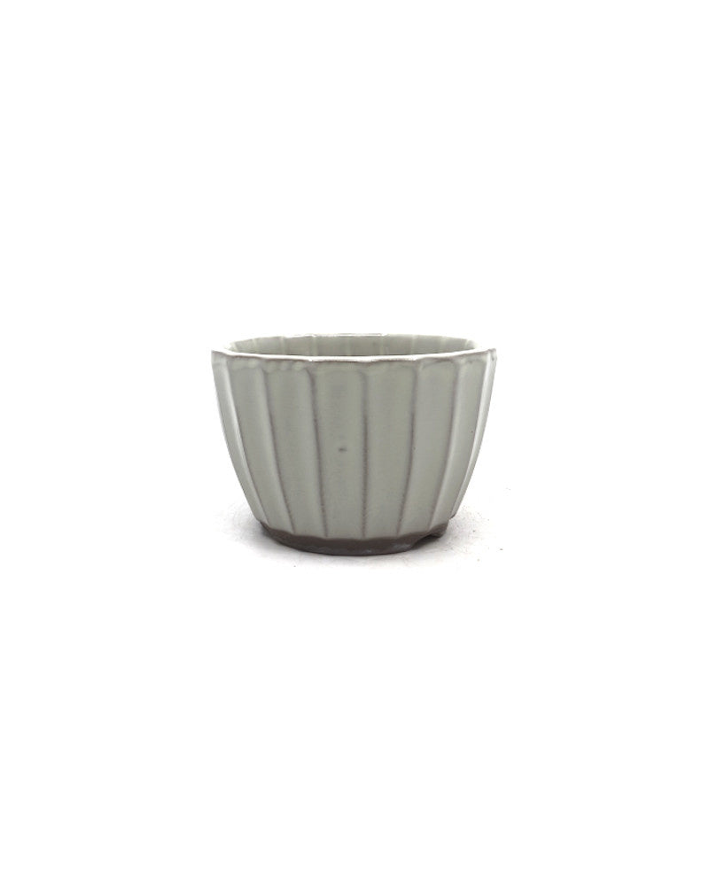 Pot à bonsaï Shohin chrysanthèmes blancs 10 cm