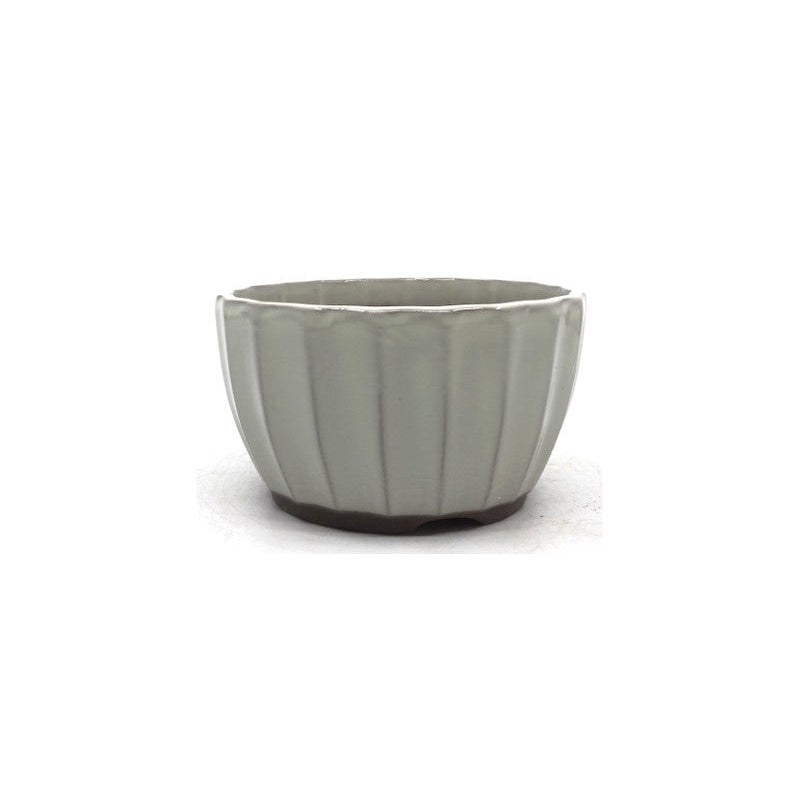 Pot à bonsaï chrysanthèmes blancs 12 cm