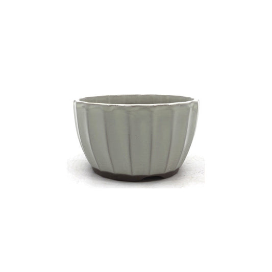 Pot à bonsaï chrysanthèmes blancs 12 cm