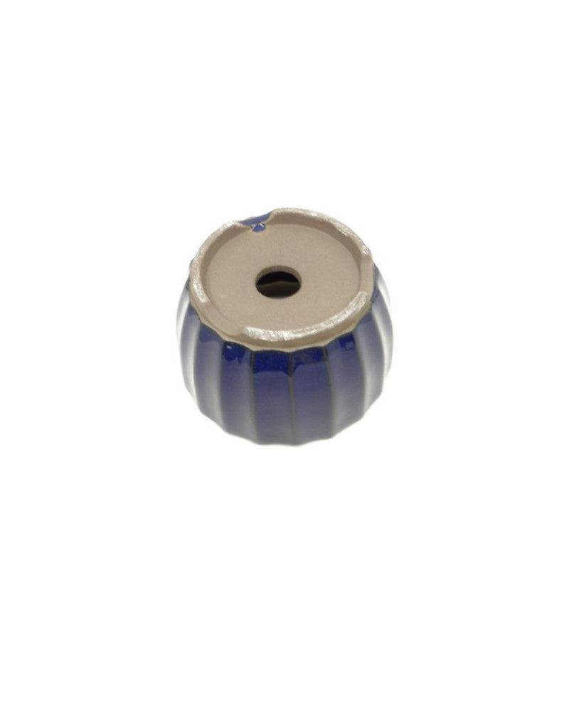 Pot Shohin Bonsai bleu foncé chrysanthèmes 10 cm