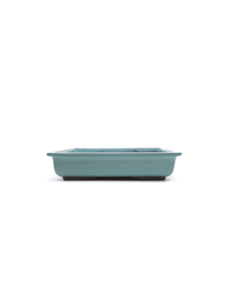 Pot à bonsaï vert rectangulaire 19cm