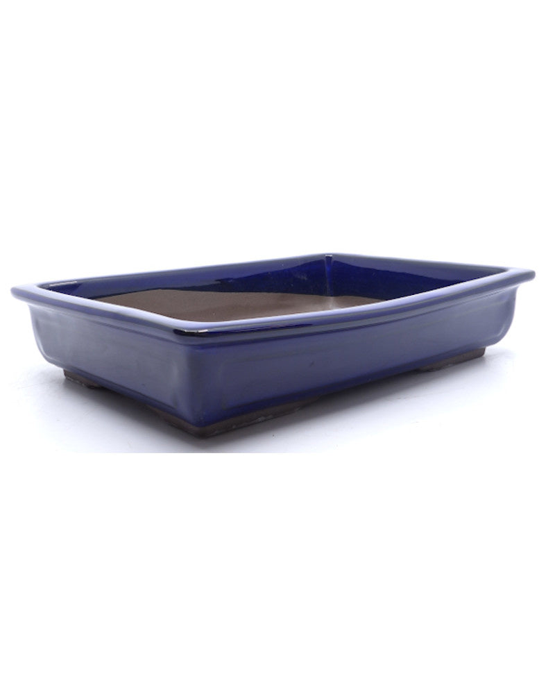 Pot à bonsaï bleu rectangulaire 37 cm