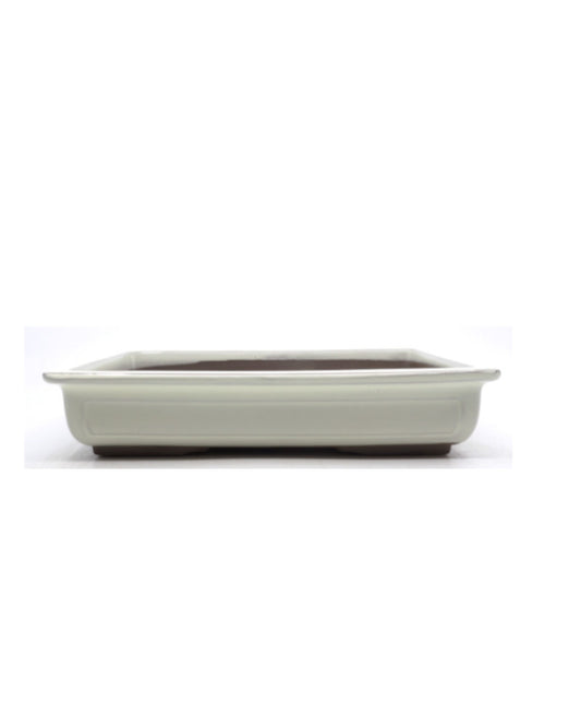 Pot à bonsaï crème rectangulaire 30cm
