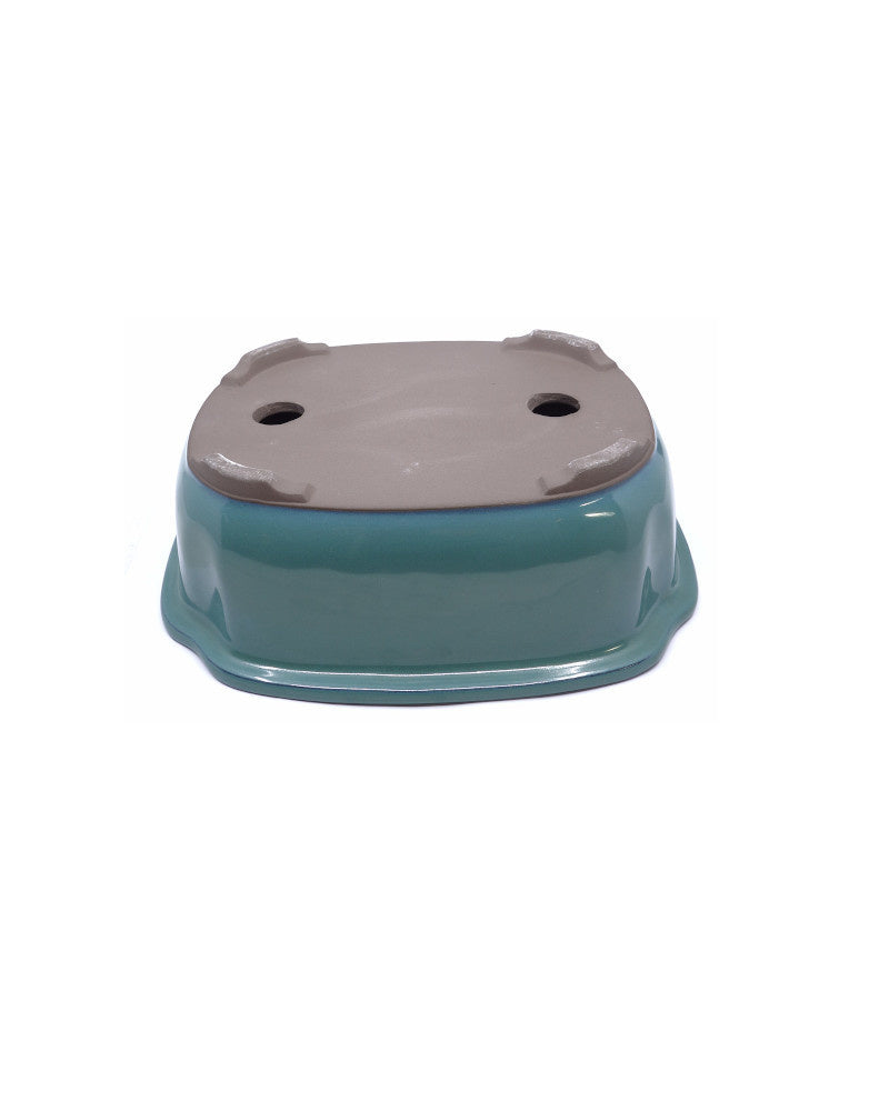 Pot à bonsaï mokko vert 25 cm