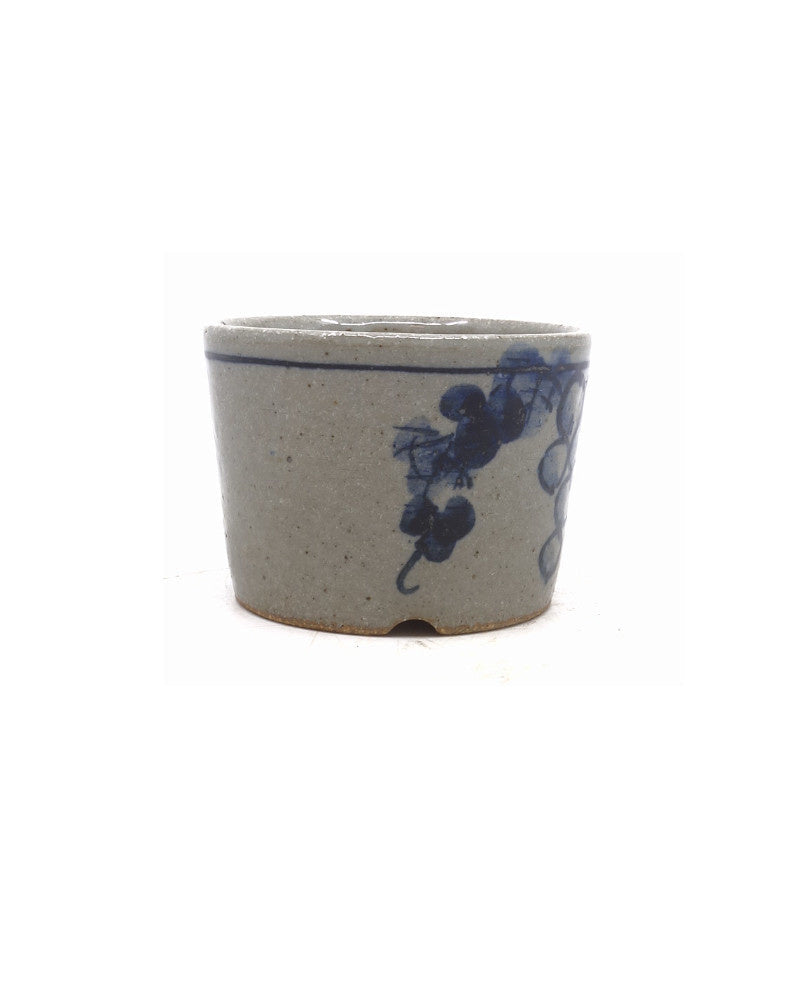 Pot Shohin Bonsai peint à la main avec des raisins ronds 9 cm