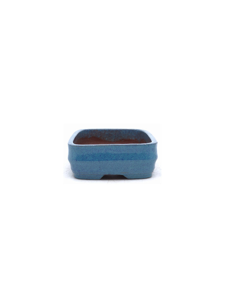 Pot à bonsaï bleu vert rectangulaire 14 cm