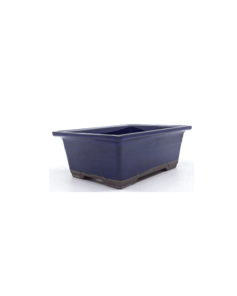 Pot à bonsaï bleu rectangulaire 22 cm