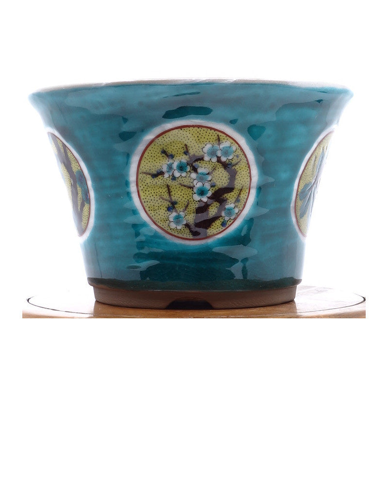 Pot à bonsaï Kutani yaki « Matsutake Ume » peint à la main vert 12 cm