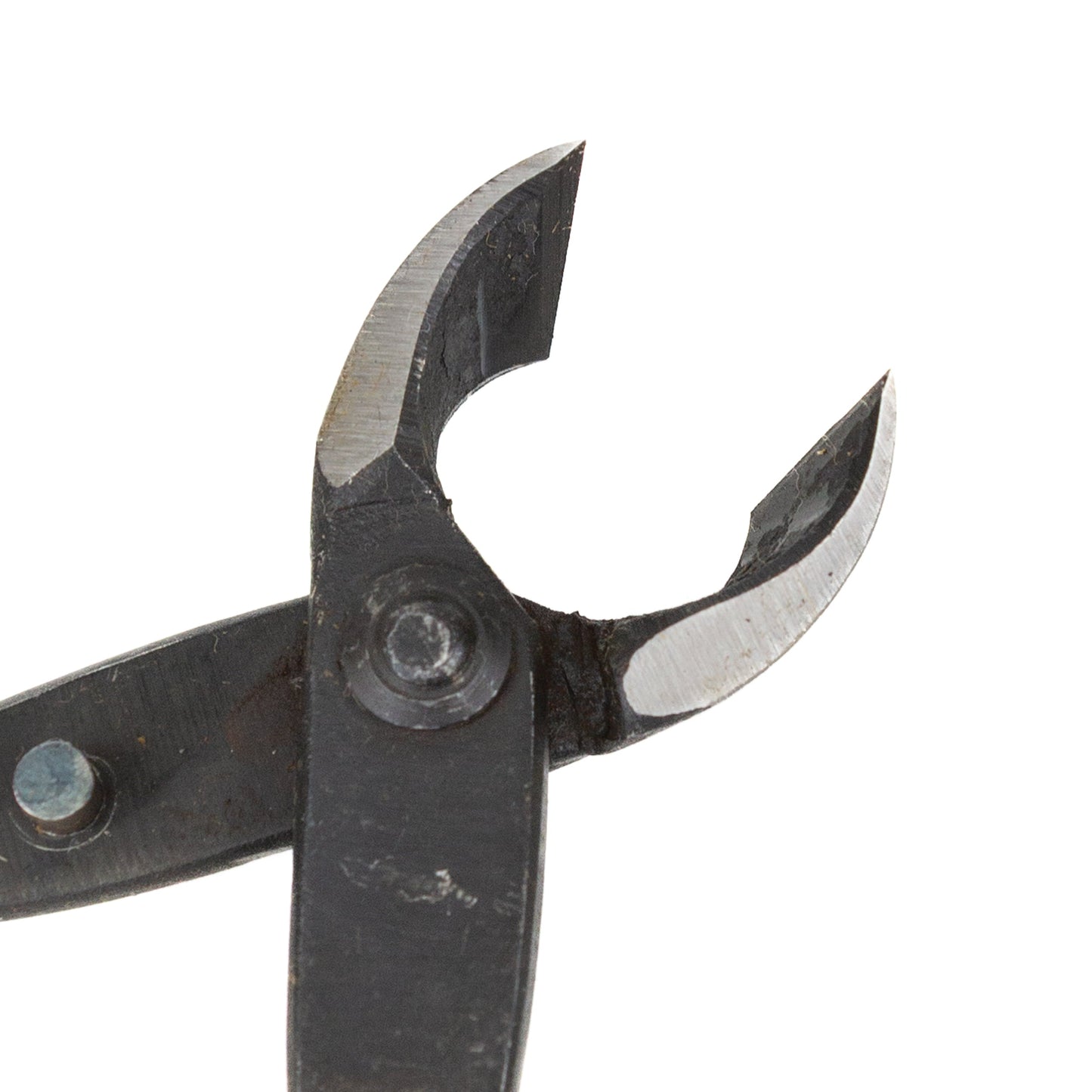 Bonsai Kaneshin pince concave 165 mm