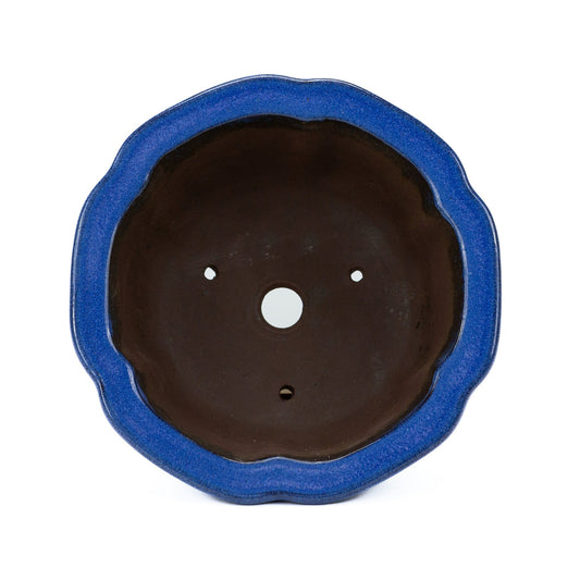 Pot à bonsaï cascade bleu clair lotus 22 cm, hauteur ~ 11 cm