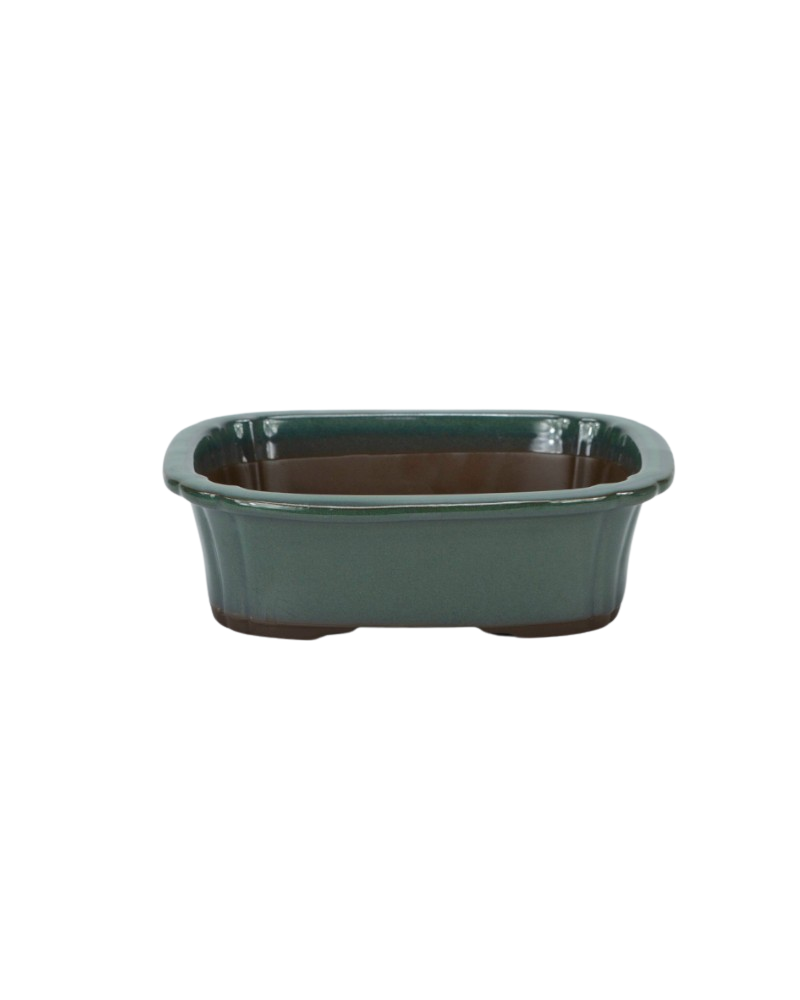 Pot à bonsaï mokko vert foncé 22 cm