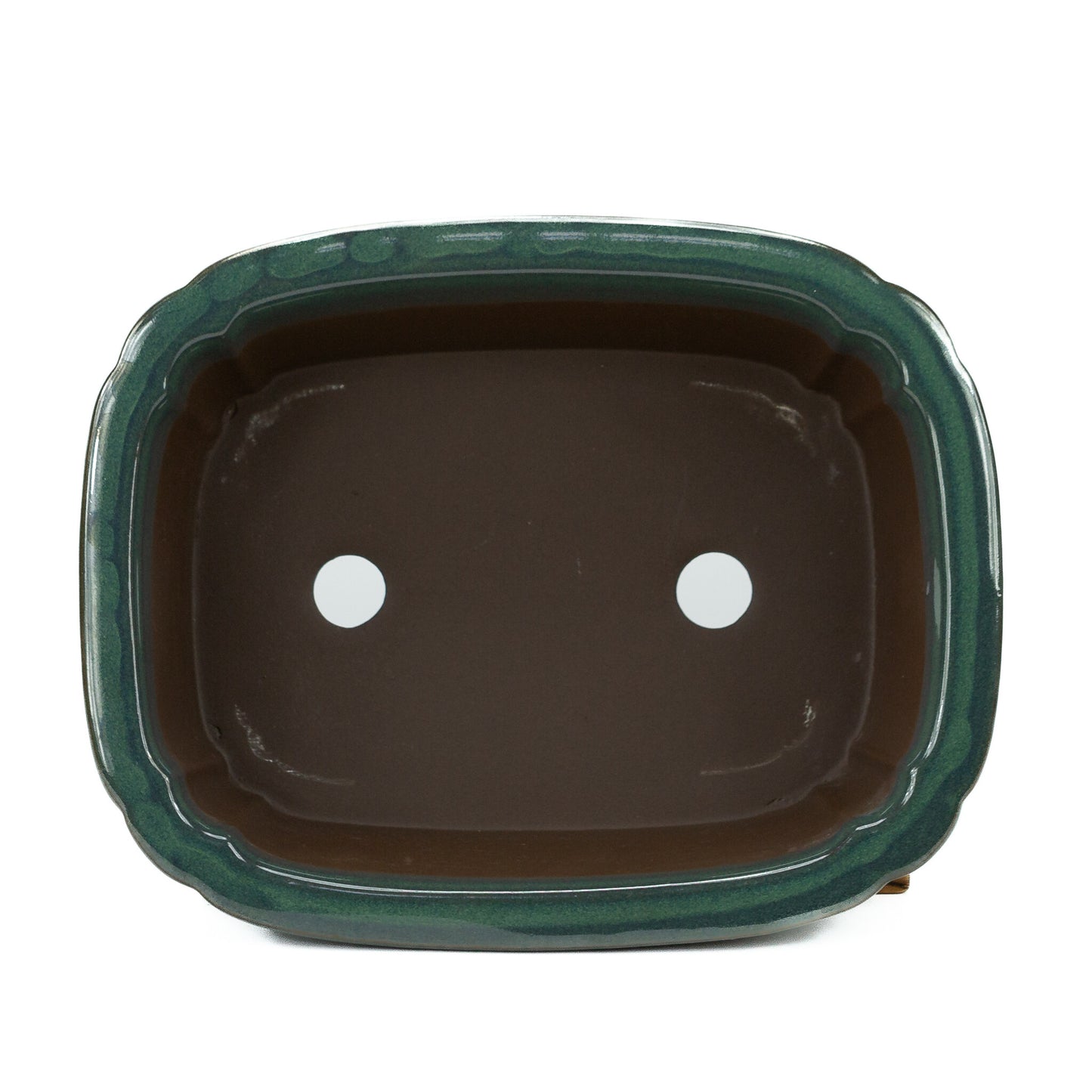 Pot à bonsaï mokko vert foncé 22 cm