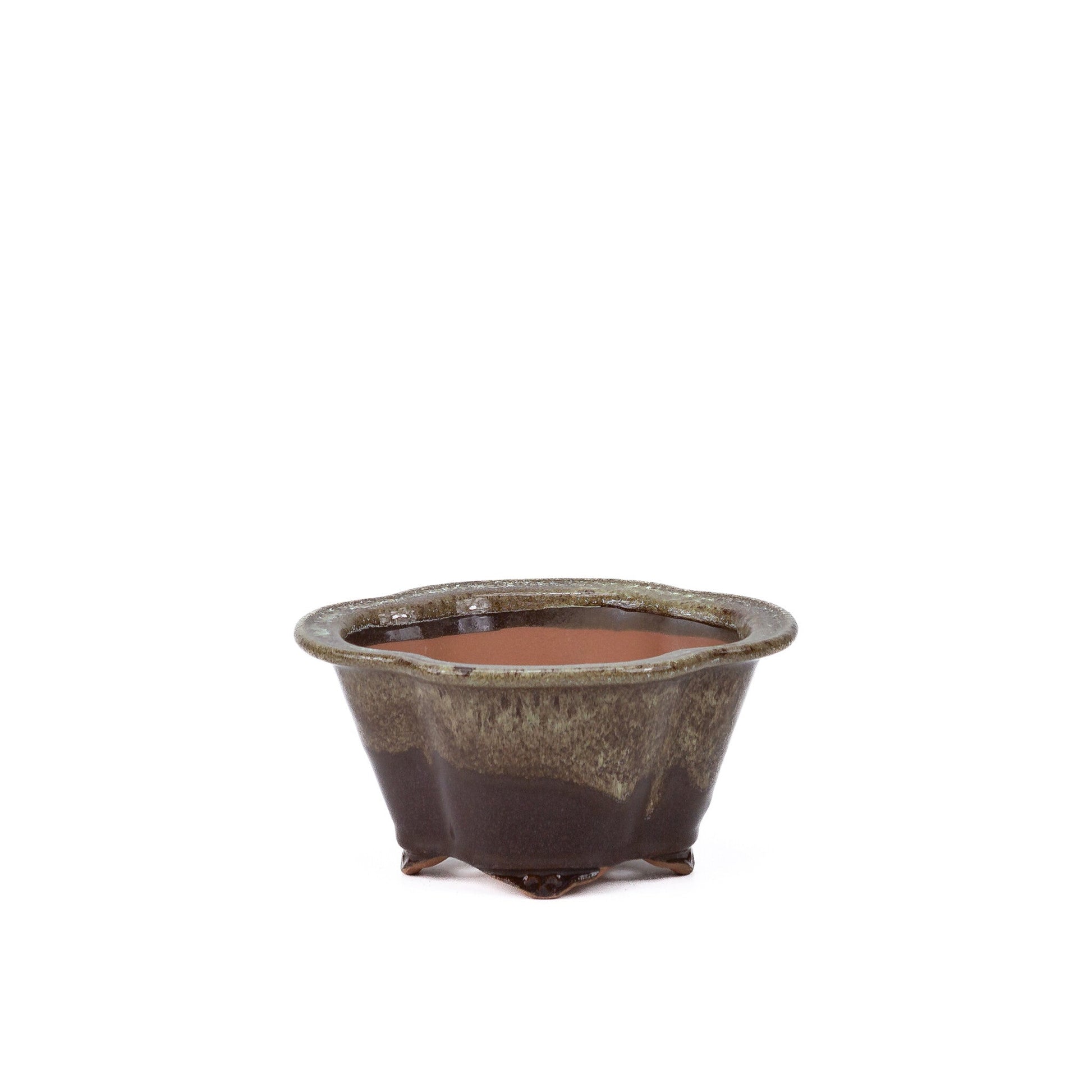 Pot à bonsaï chrysanthèmes brun beige 15,5 cm