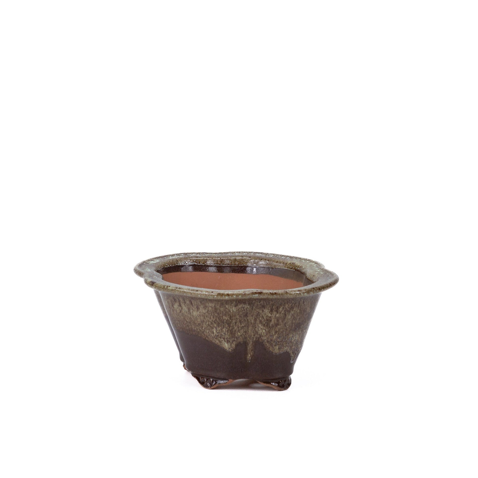 Pot à bonsaï chrysanthèmes brun beige 15,5 cm