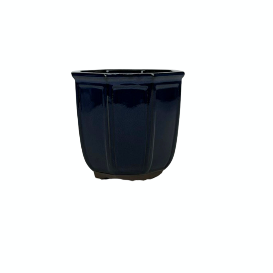 Pot à bonsaï cascade bleu 16 cm