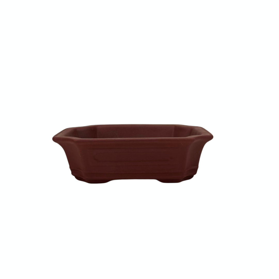 Pot à bonsaï rectangulaire 22 cm