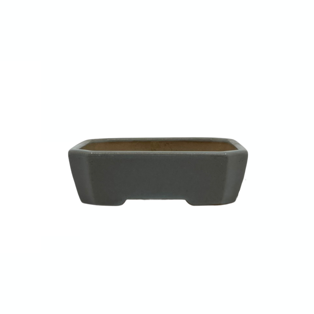 Pot à bonsaï - rectangulaire, émaillé, bleu gris clair (17 cm de large)