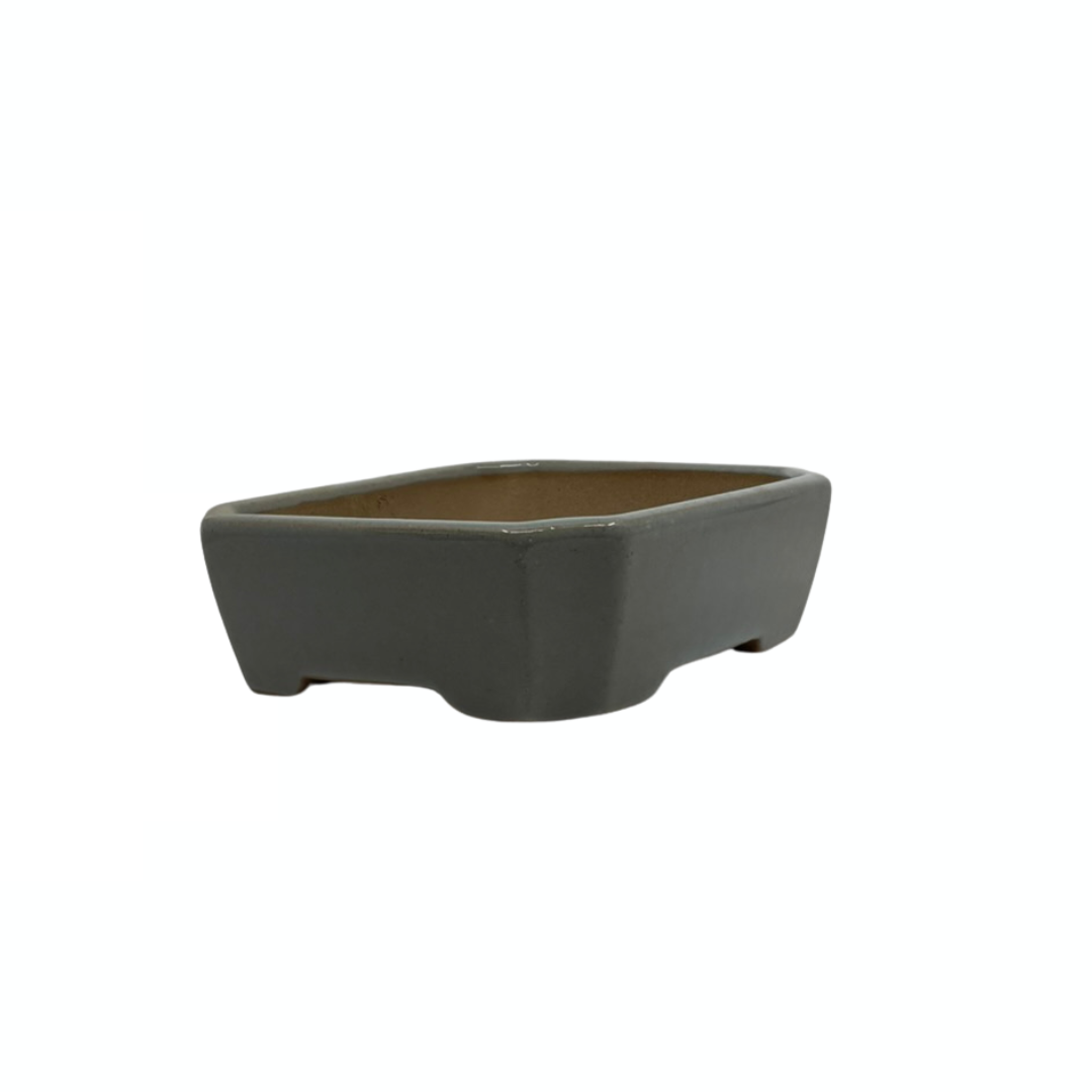 Pot à bonsaï - rectangulaire, émaillé, bleu gris clair (17 cm de large)