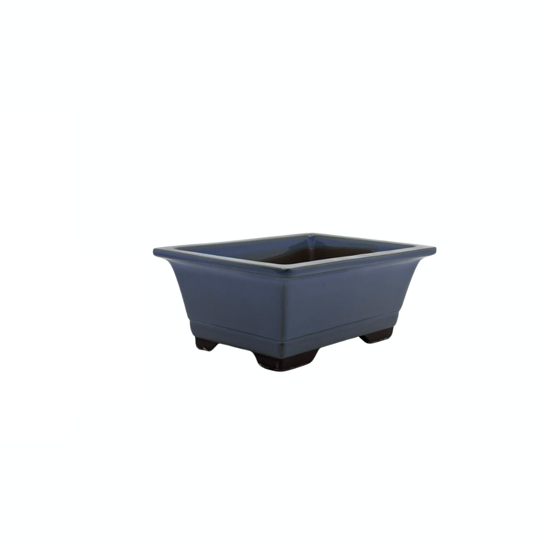 Ensemble de pots à bonsaï - rectangulaires, émaillés, bleu clair (14 cm de large)