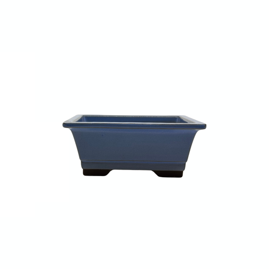 Ensemble de pots à bonsaï - rectangulaires, émaillés, bleu clair (14 cm de large)