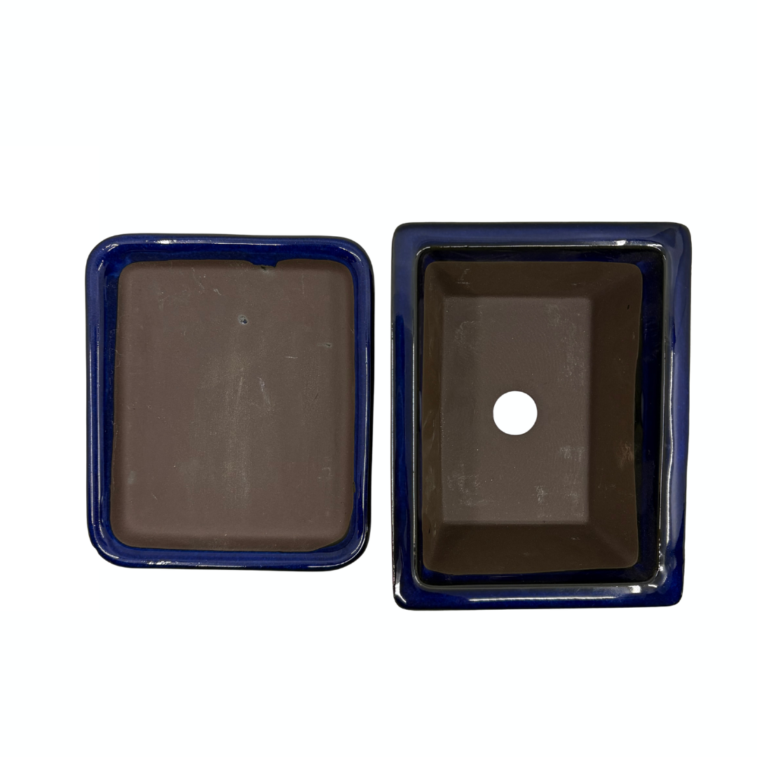 Ensemble de pots à bonsaï - rectangulaires, émaillés, bleus (14 cm de large)