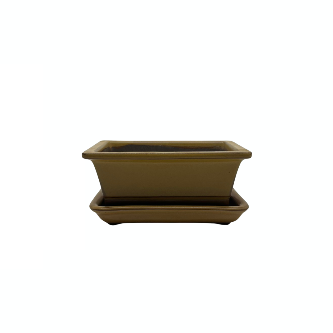 Ensemble de pots à bonsaï - rectangulaires, émaillés, jaunes (14 cm de large)