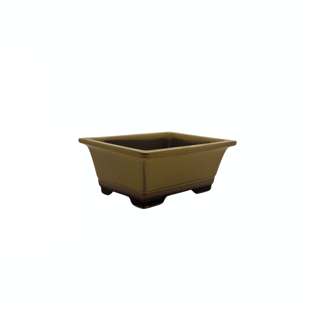 Ensemble de pots à bonsaï - rectangulaires, émaillés, jaunes (14 cm de large)