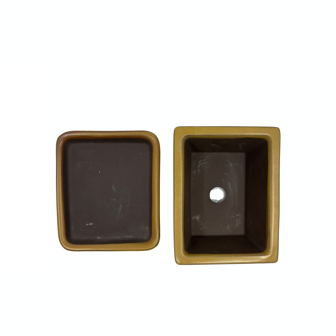 Ensemble de pots à bonsaï - rectangulaires, émaillés, jaunes (14 cm de large)