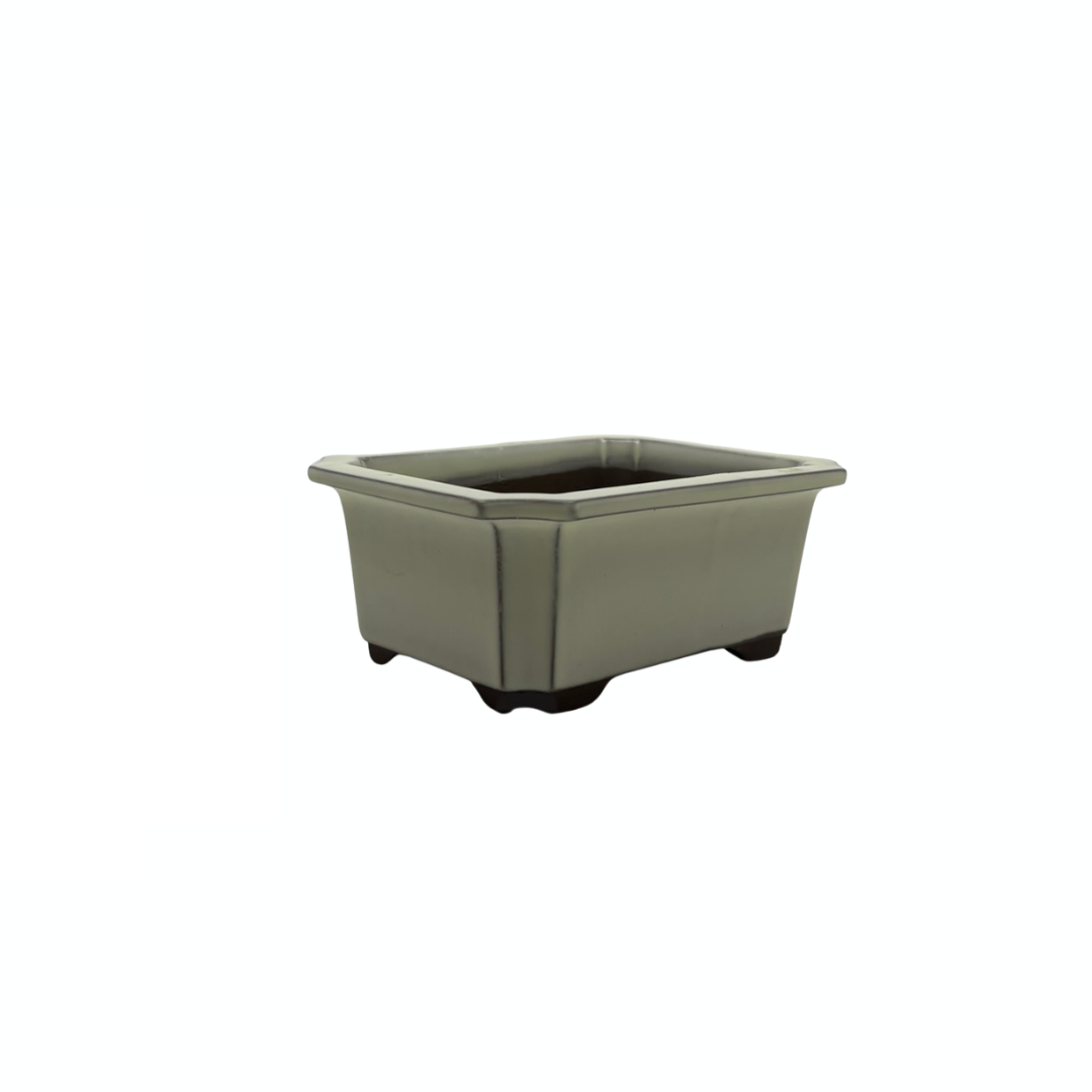 Ensemble de pots à bonsaï - rectangulaires, émaillés, crème (14 cm de large)