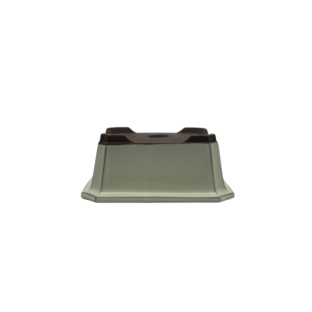 Ensemble de pots à bonsaï - rectangulaires, émaillés, crème (14 cm de large)