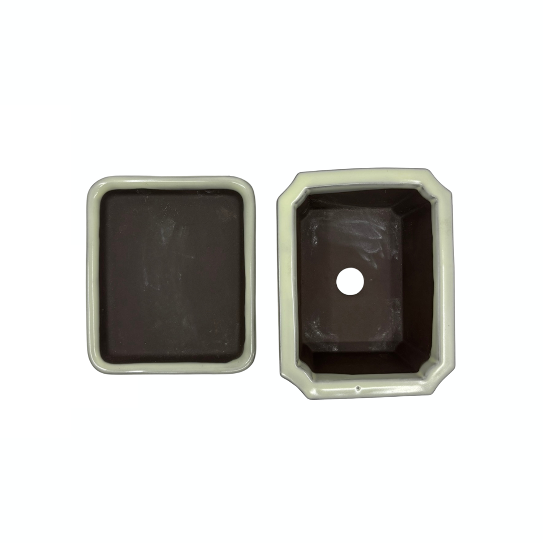 Ensemble de pots à bonsaï - rectangulaires, émaillés, crème (14 cm de large)