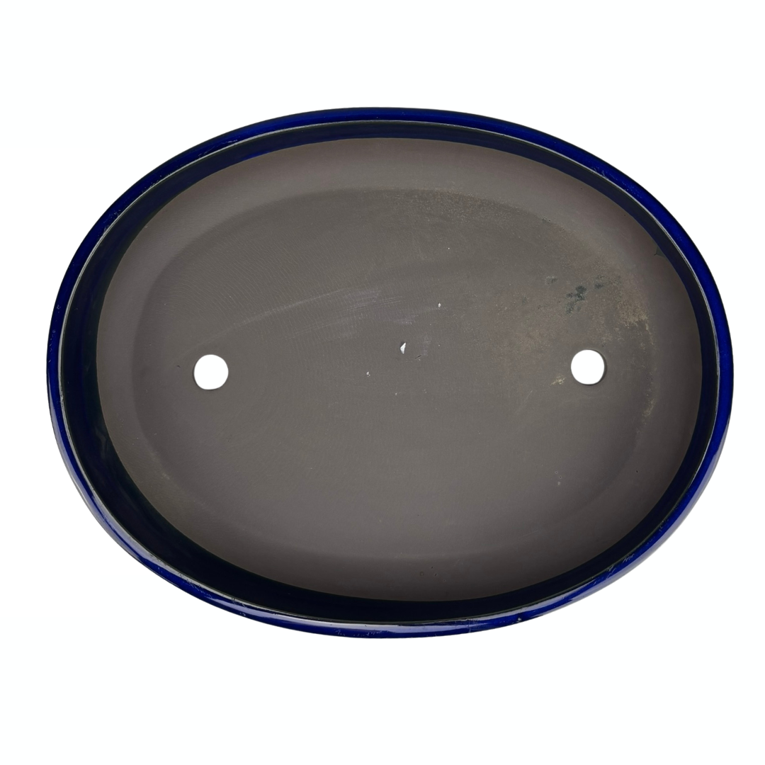 Pot à bonsaï - ovale, émaillé, bleu (41 cm de large)